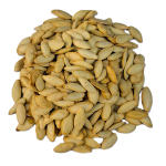 تخم کدو ریز