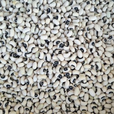 لوبیا چشم بلبلی